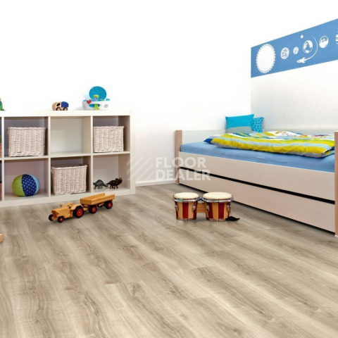 IVC Ultimo (Сlick) IVC Ultimo 24219N фото 5 | FLOORDEALER
